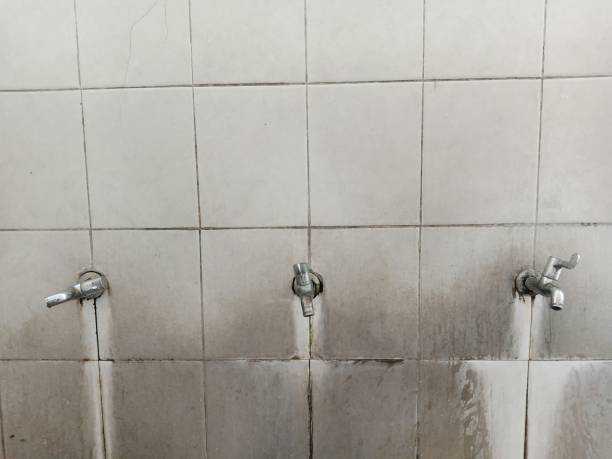 Reliable Luna Pier, MI Water damage restoration Solutions