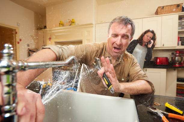 Best Basement water damage restoration  in Luna Pier, MI